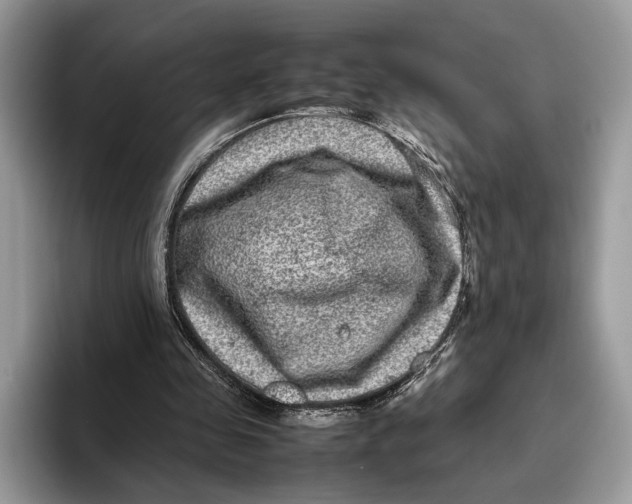 X0000095940341200802011046