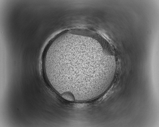 X0000095940342200802011046