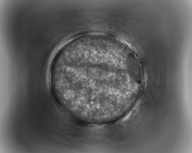 X0000095940343200802011046