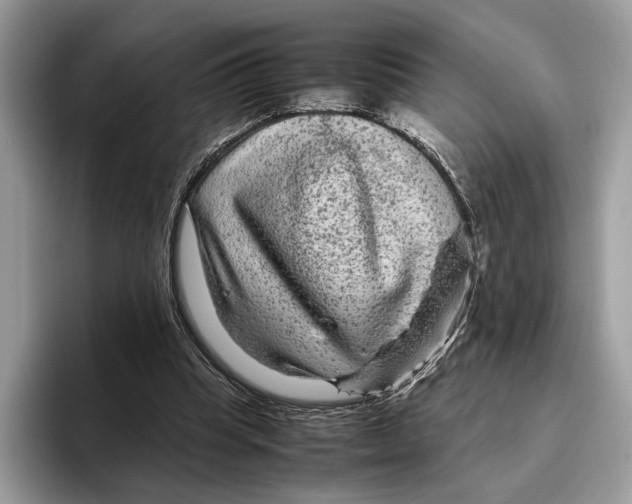 X0000095940345200802011046