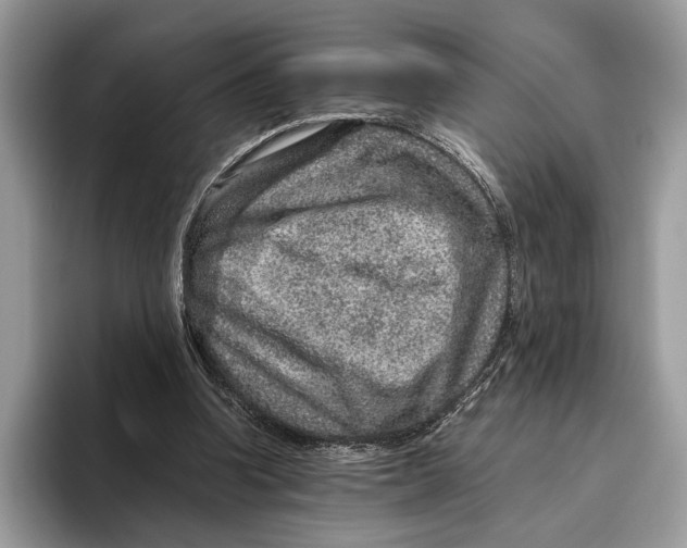 X0000095940346200802011046