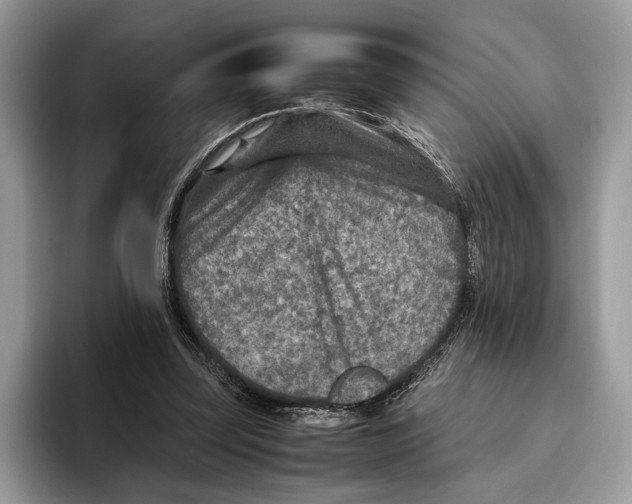 X0000095940347200802011046