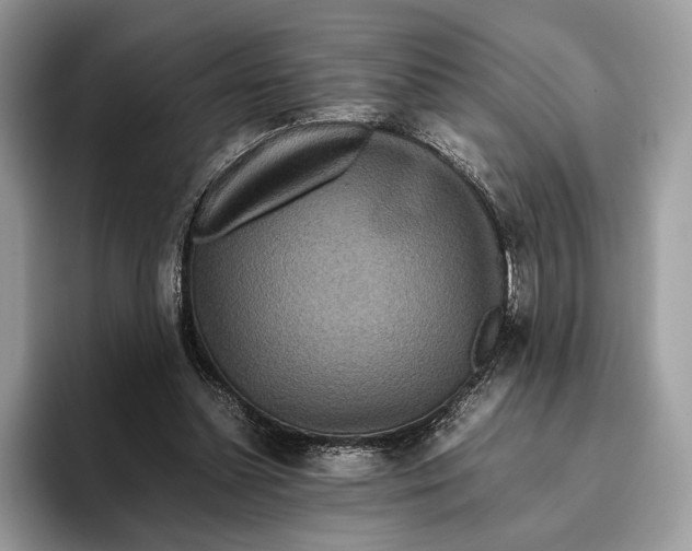 X0000095940348200802011046