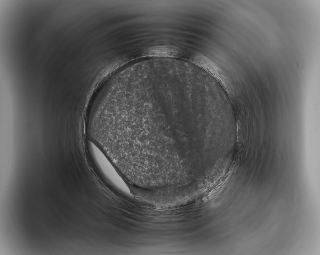 X0000095940349200802011046