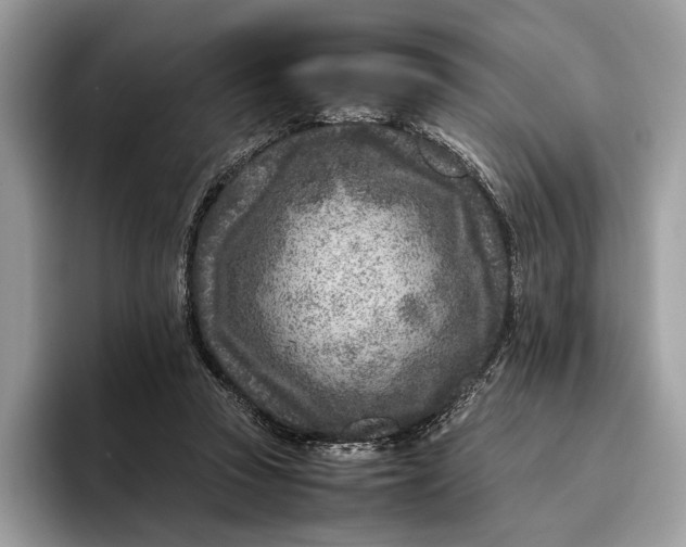 X0000095940353200802011046