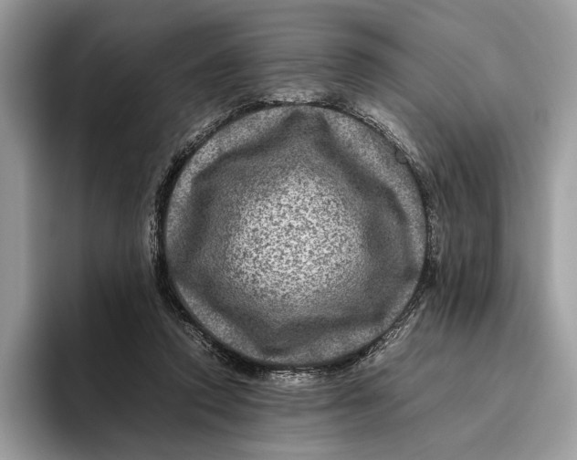 X0000095940354200802011046