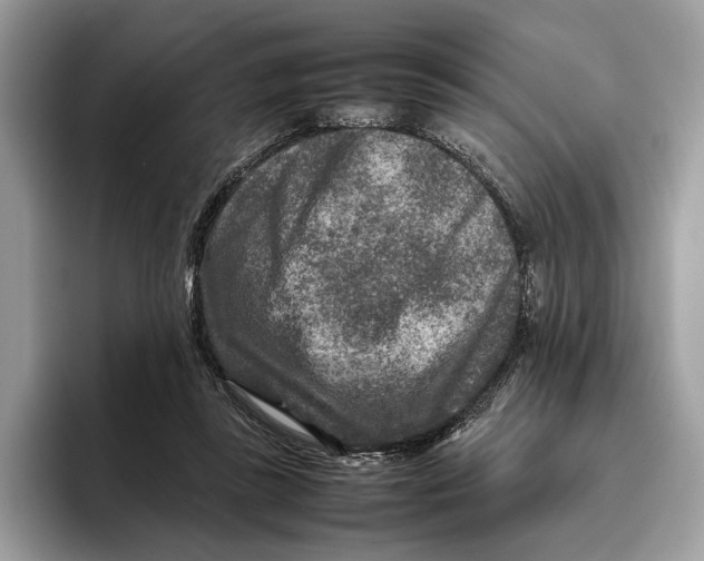 X0000095940355200802011046