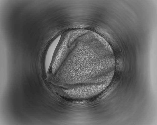 X0000095940358200802011046