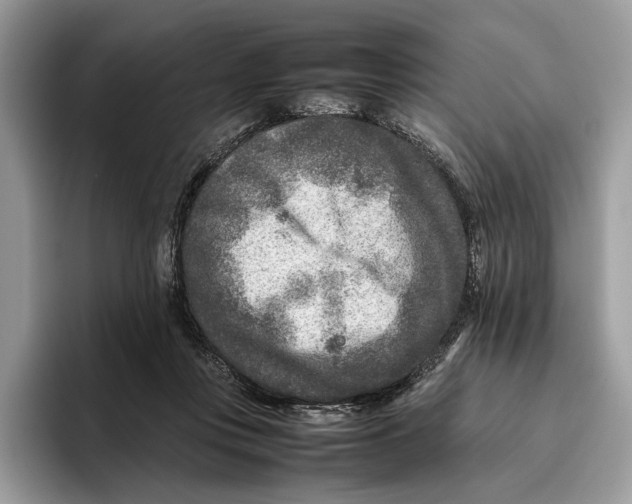 X0000095940359200802011046