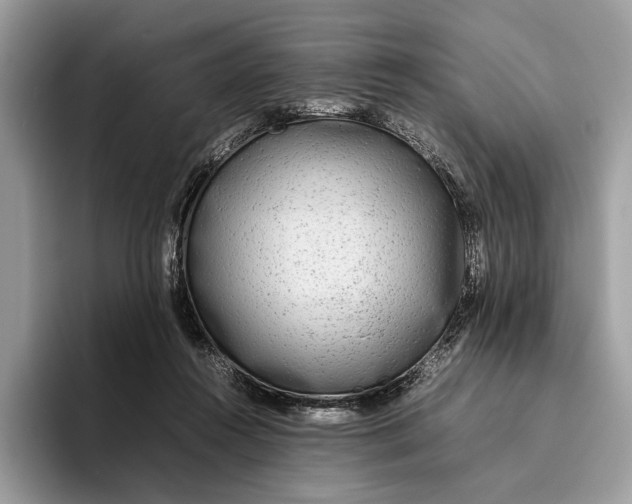 X0000095940360200802011046