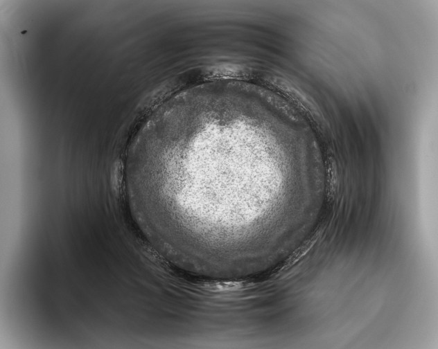 X0000095940361200802011046