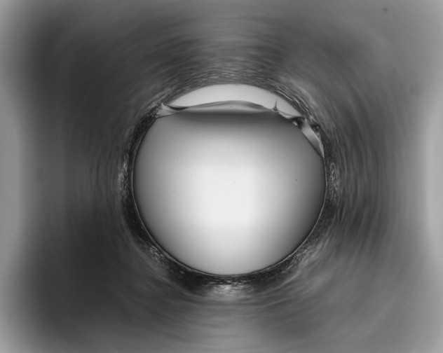 X0000095940364200802011046