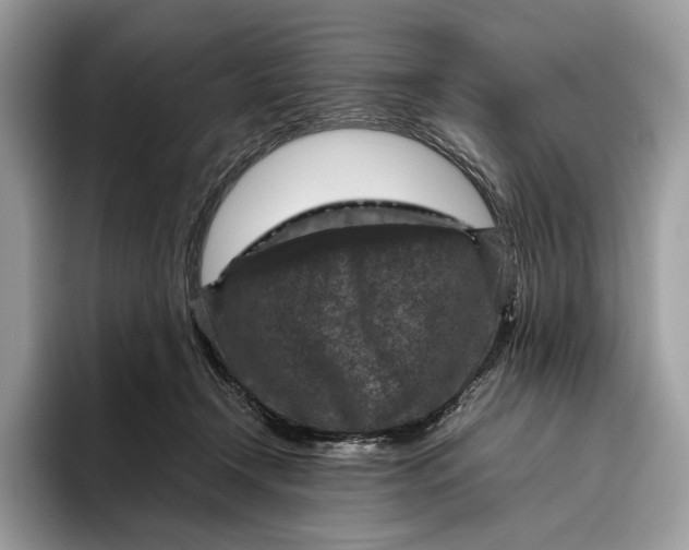 X0000095940366200802011046