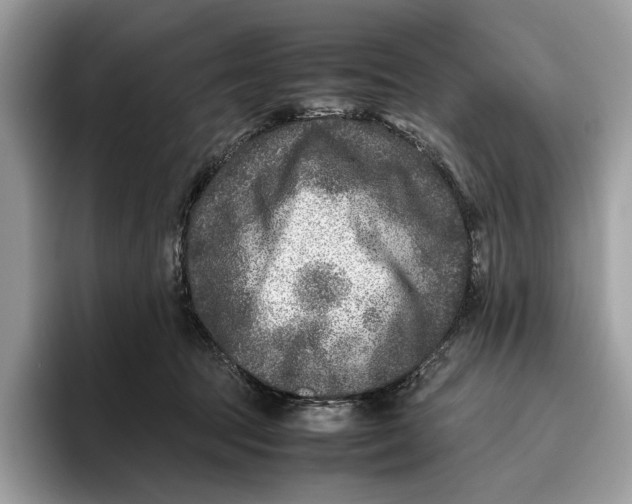 X0000095940369200802011046