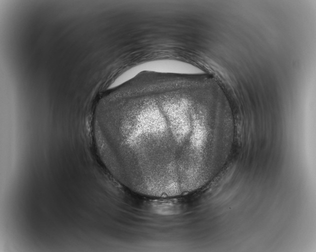 X0000095940373200802011046