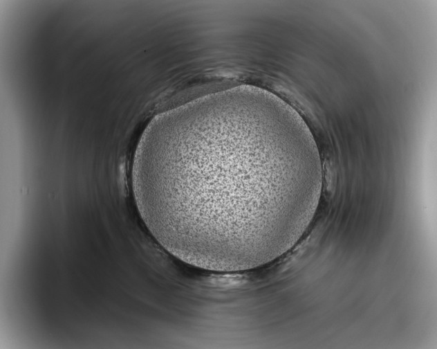 X0000095940378200802011046