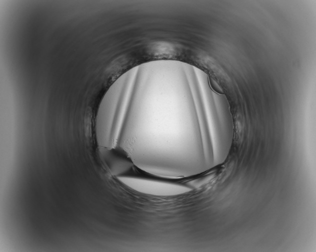 X0000095940379200802011046