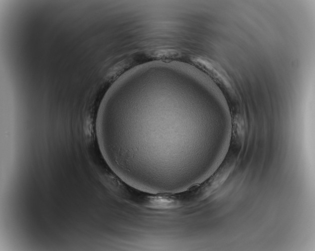 X0000095940380200802011046