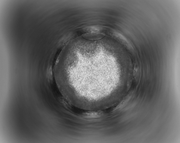 X0000095940381200802011046