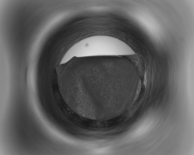 X0000095940383200802011046