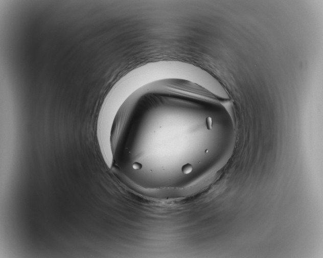 X0000095940384200802011046