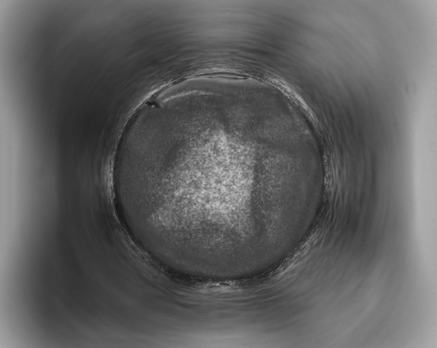 X0000095940386200802011046