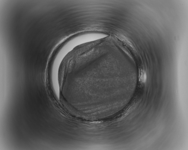 X0000095940388200802011046