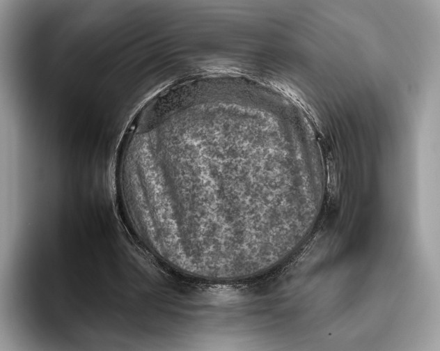 X0000095940390200802011046