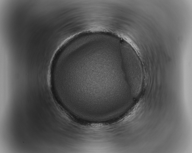 X0000095940391200802011046