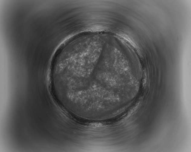 X0000095940392200802011046