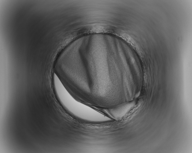 X0000095940393200802011046