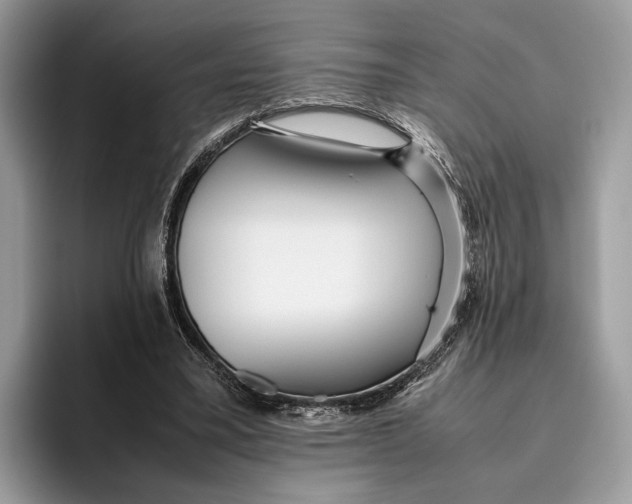 X0000095940395200802011046