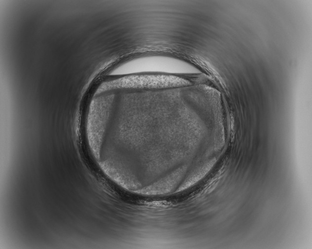 X0000095940396200802011046