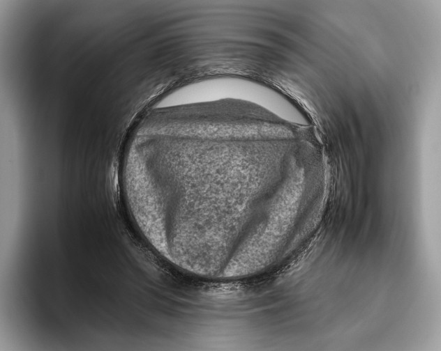 X0000095940398200802011046