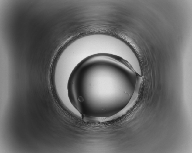 X0000095940399200802011046