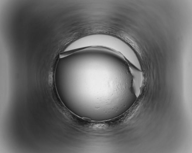 X0000095940401200802011045