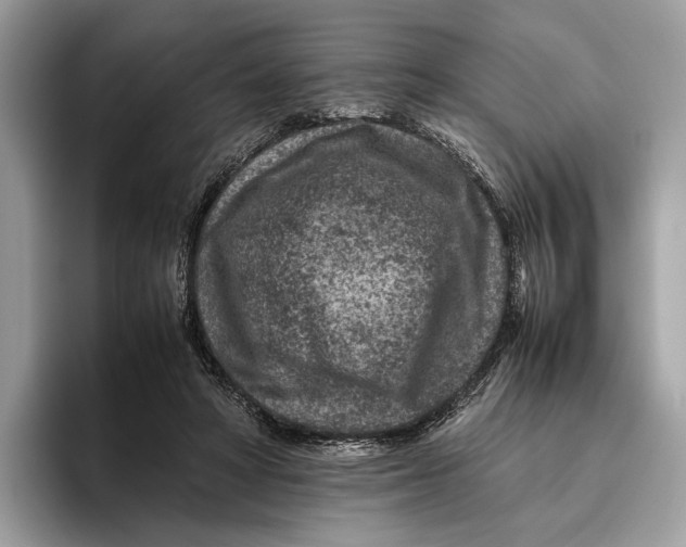 X0000095940402200802011045