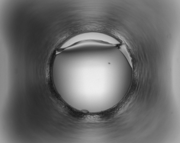 X0000095940403200802011045