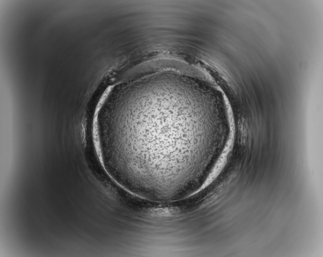 X0000095940404200802011045