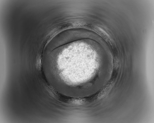 X0000095940405200802011045