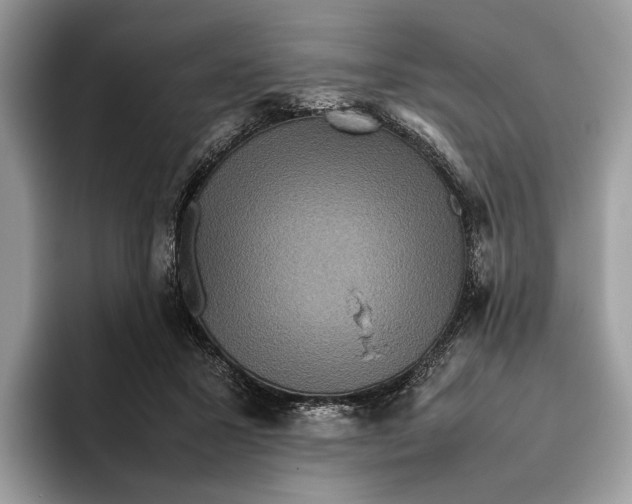 X0000095940407200802011045