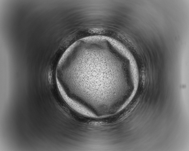 X0000095940408200802011045