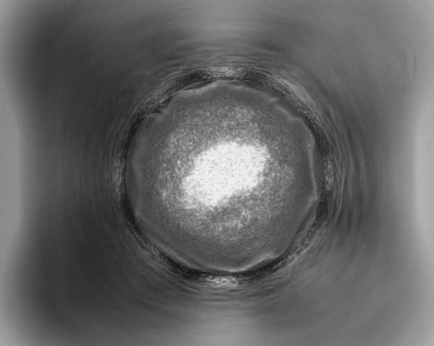 X0000095940409200802011045