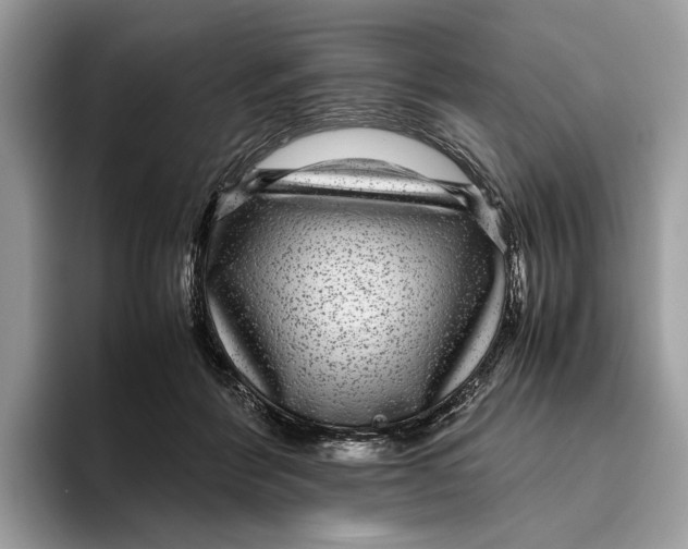 X0000095940412200802011045