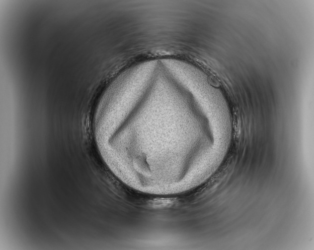 X0000095940418200802011045