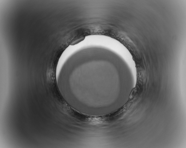 X0000095940419200802011045