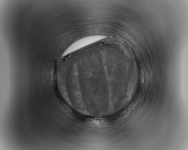 X0000095940420200802011045