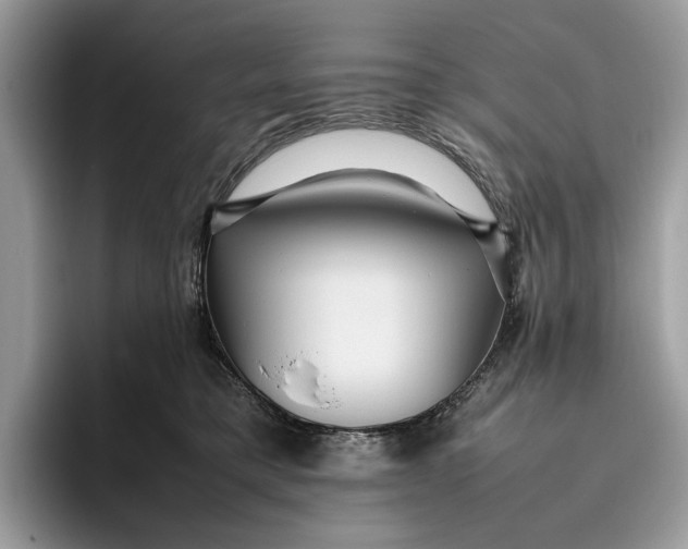 X0000095940421200802011045