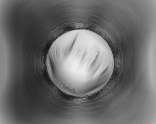 X0000095940422200802011045