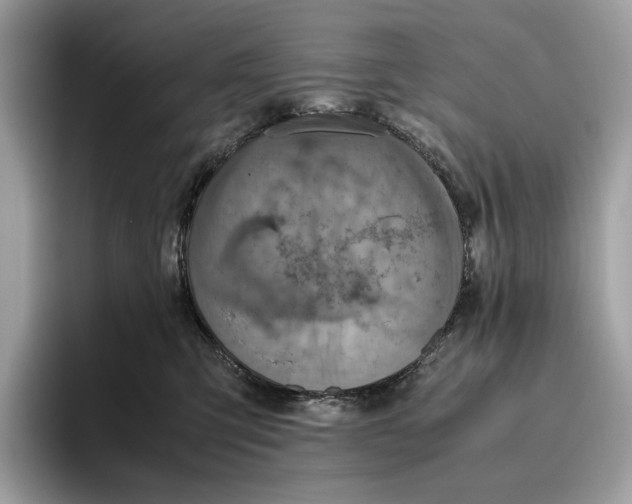 X0000095940423200802011045